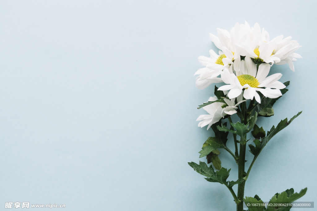 花