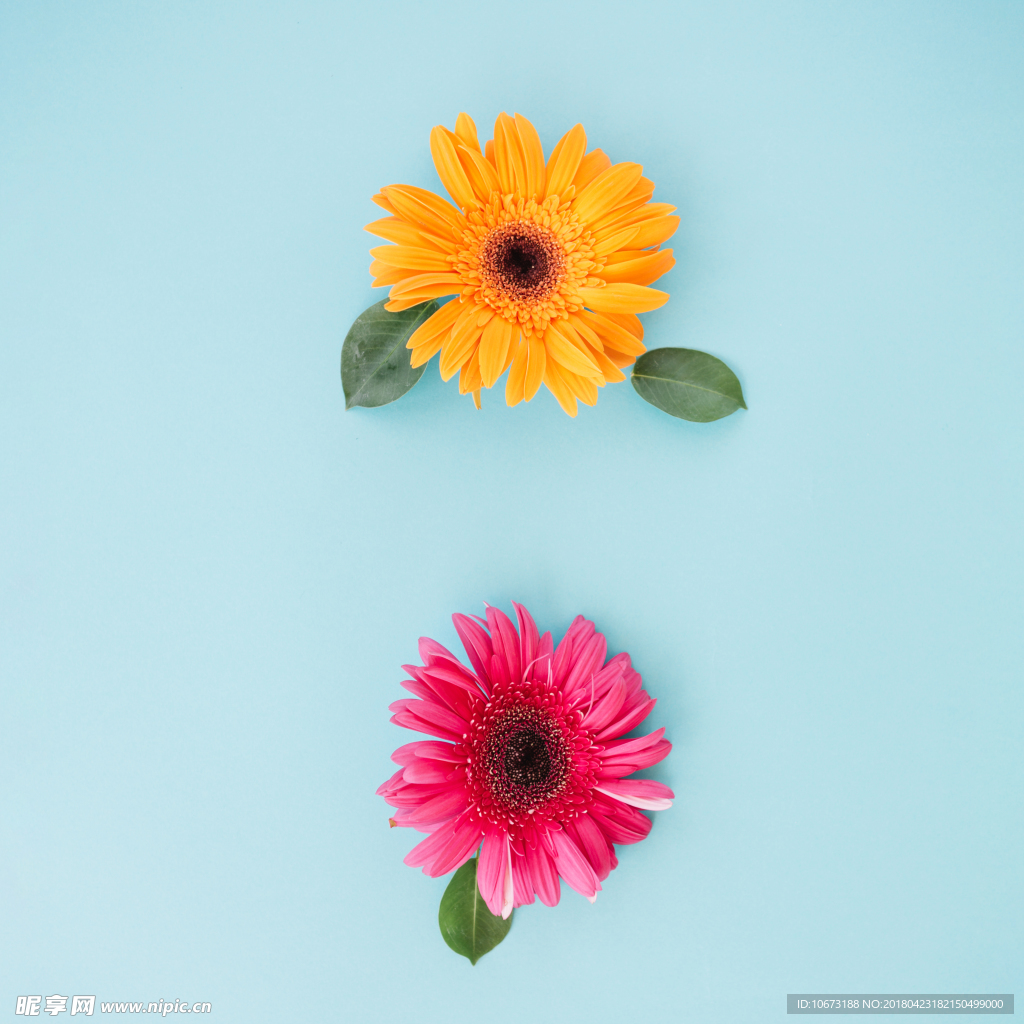 花