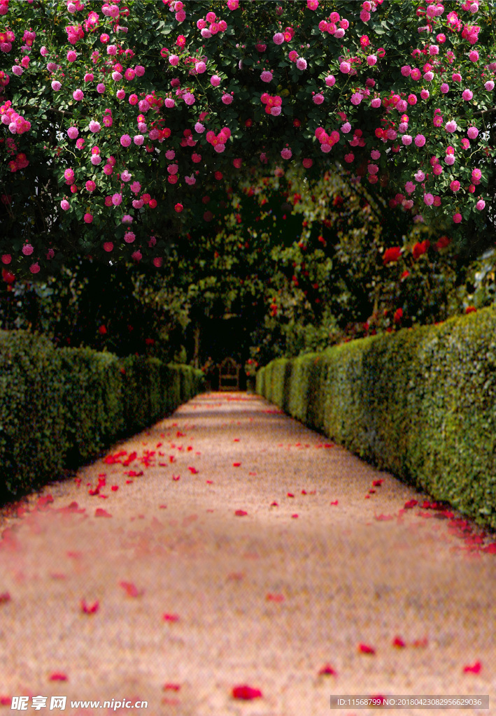 花园小路