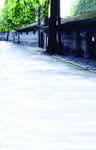 路