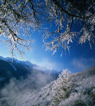 雪山
