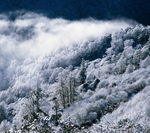 雪山