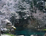 冰雪风景