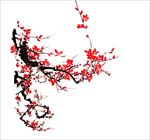 梅花