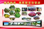 农村产业版面