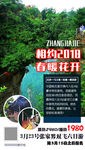 湘西旅游 微信海报  2018