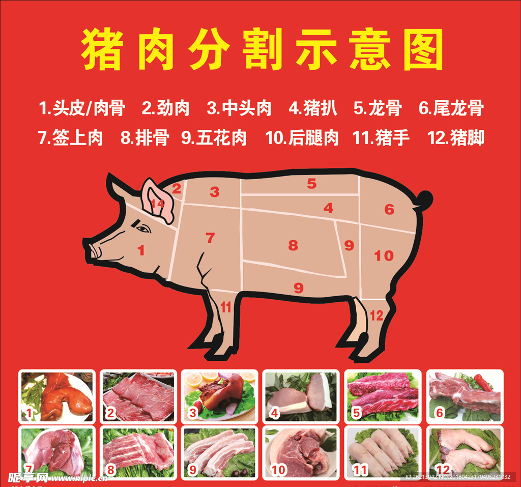 猪肉的各个部位名称