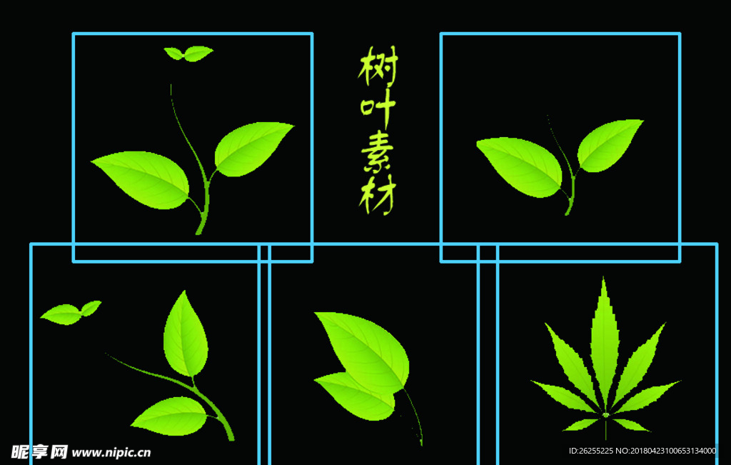 树叶素材