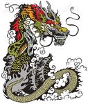 龙