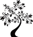 花纹