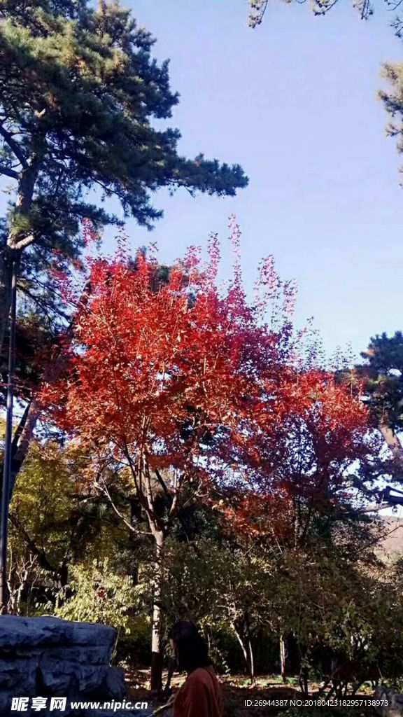 香山