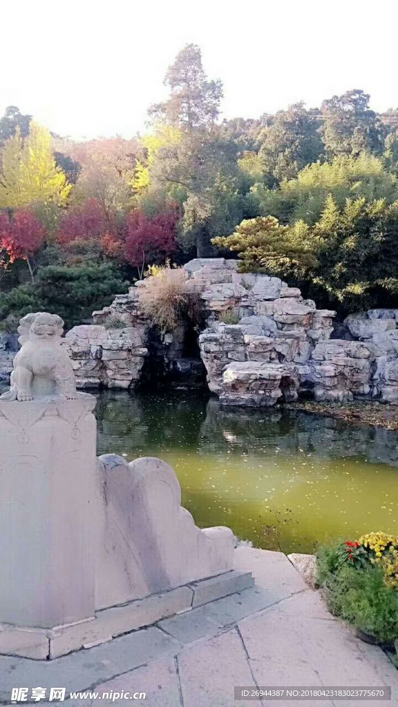 枫叶与石头