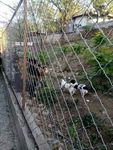 香山一角
