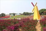 浪漫风车漂亮花海