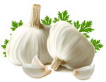 矢量蔬菜