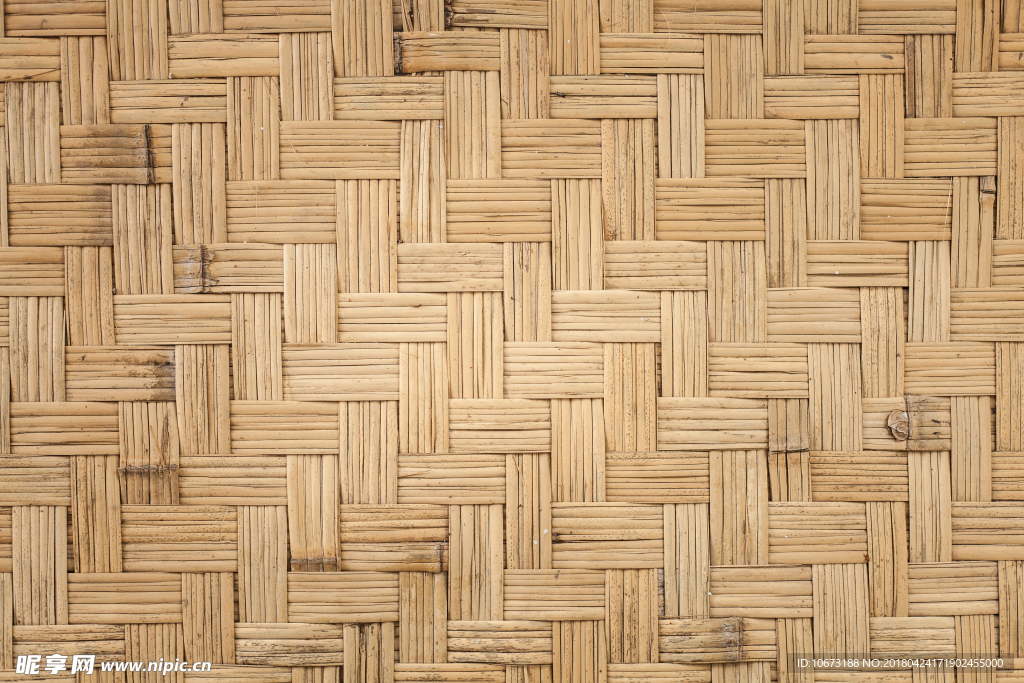 竹子