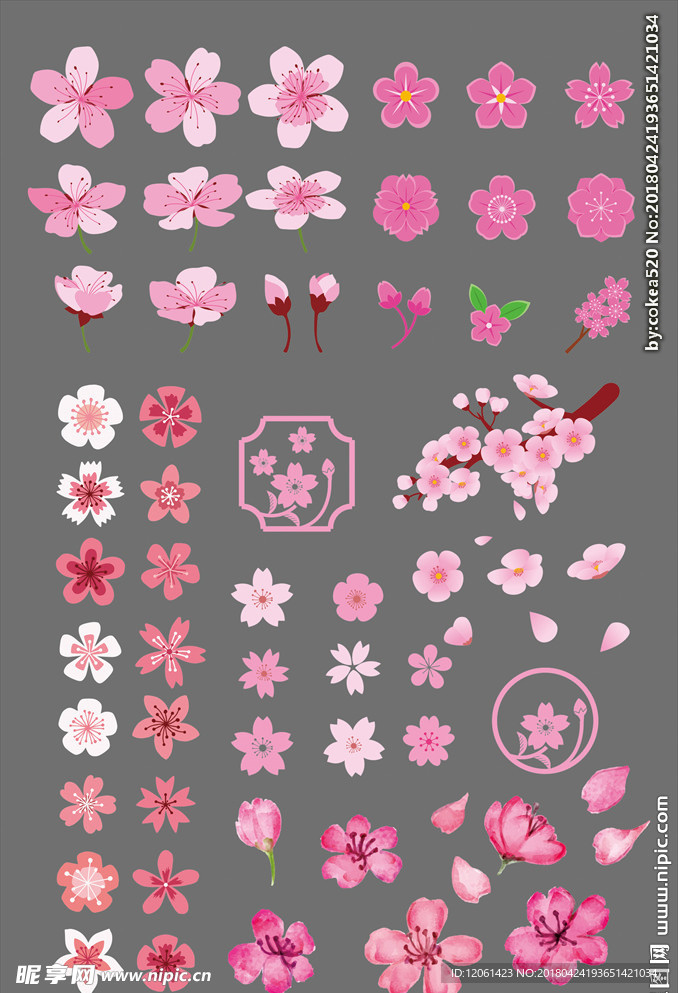 花瓣