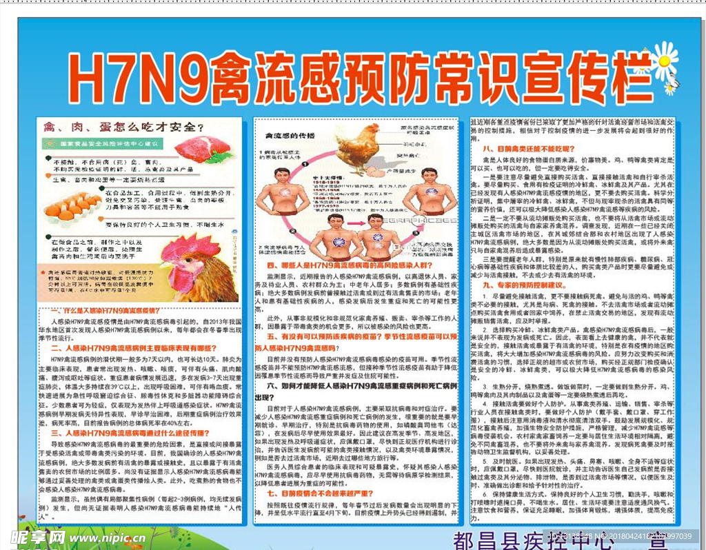 禽流感传染 传染病宣传 传染病