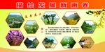 描绘发展新画卷