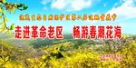 连翘赏花节