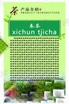茶产品介绍