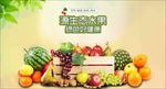 源生态绿色水果宣传海报