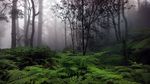 壁纸桌面 风景图片 电脑 动漫