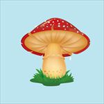 蘑菇图片