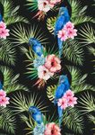 植物花卉花鸟图案AI矢量图