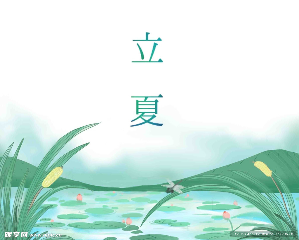 立夏荷塘