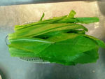 青菜