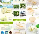 白金蜜瓜水果美食蓝绿色小清新