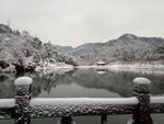 森林公园雪景