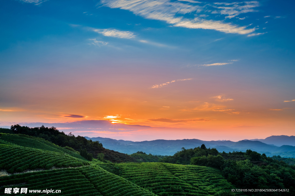 茶山晨曦