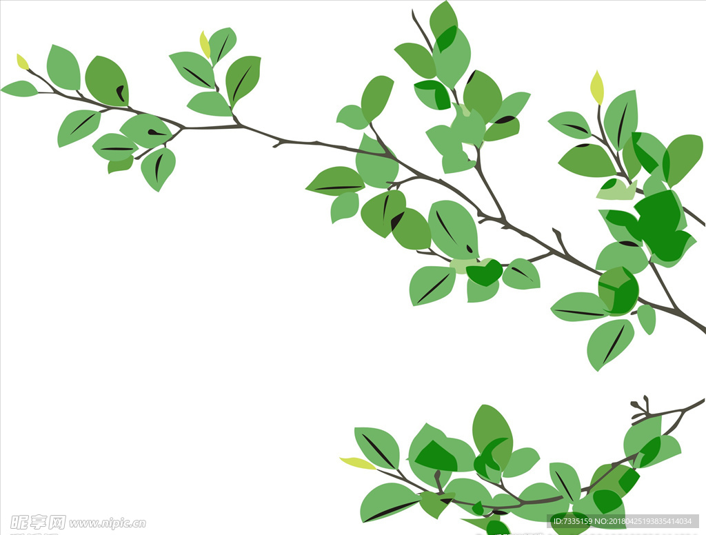 花纹