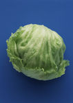 生菜