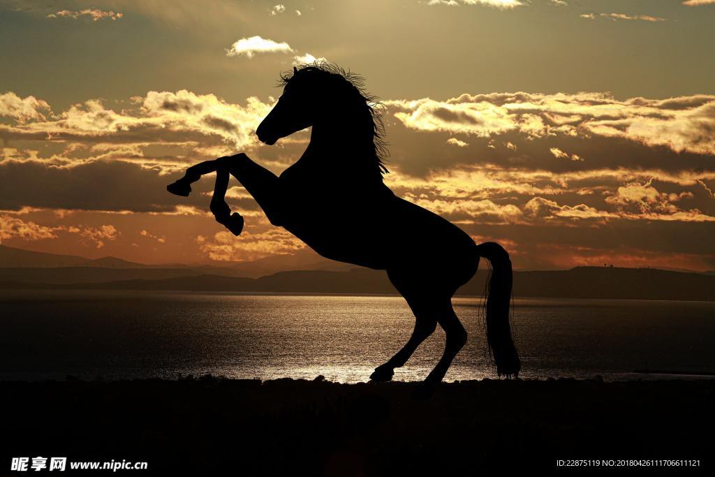 骏马夕阳