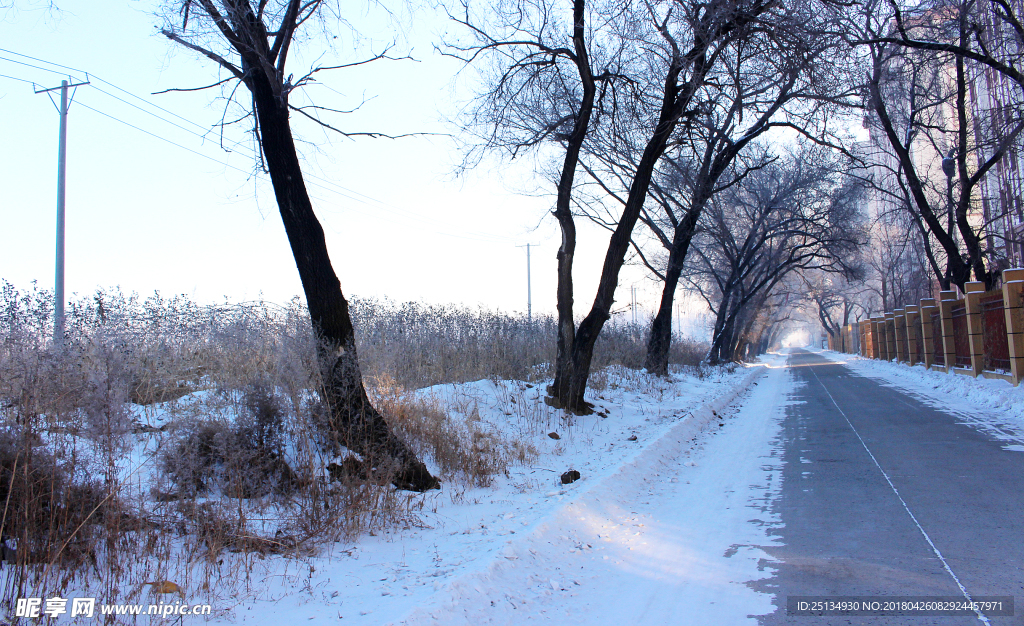 路边雪景