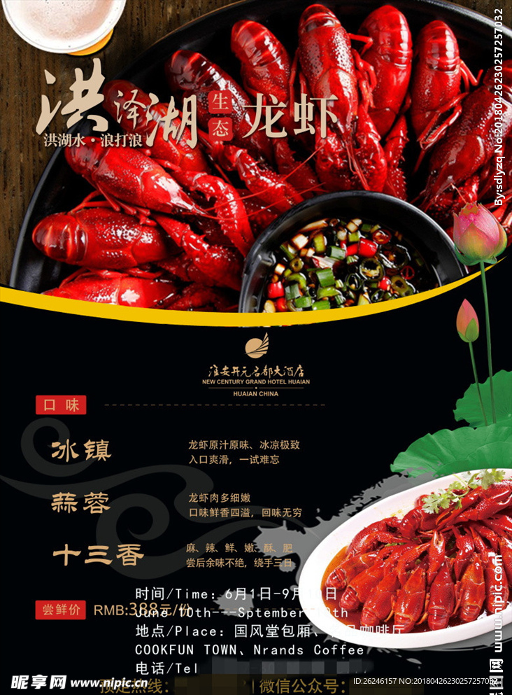洪泽湖生态龙虾海报广告图片下载