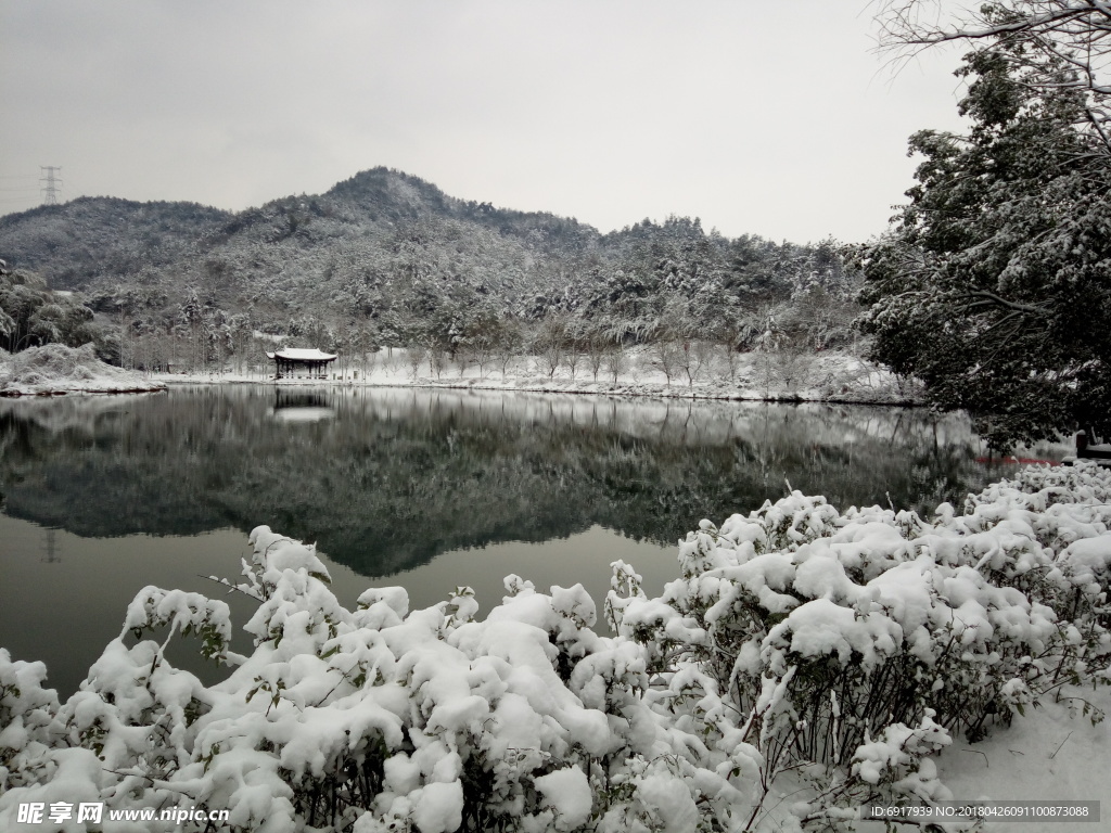 雪后公园