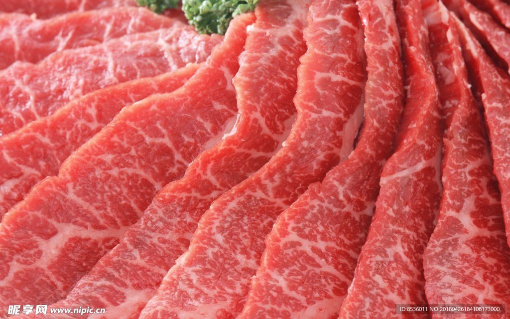 肉片 肉块 猪肉 牛肉 生肉