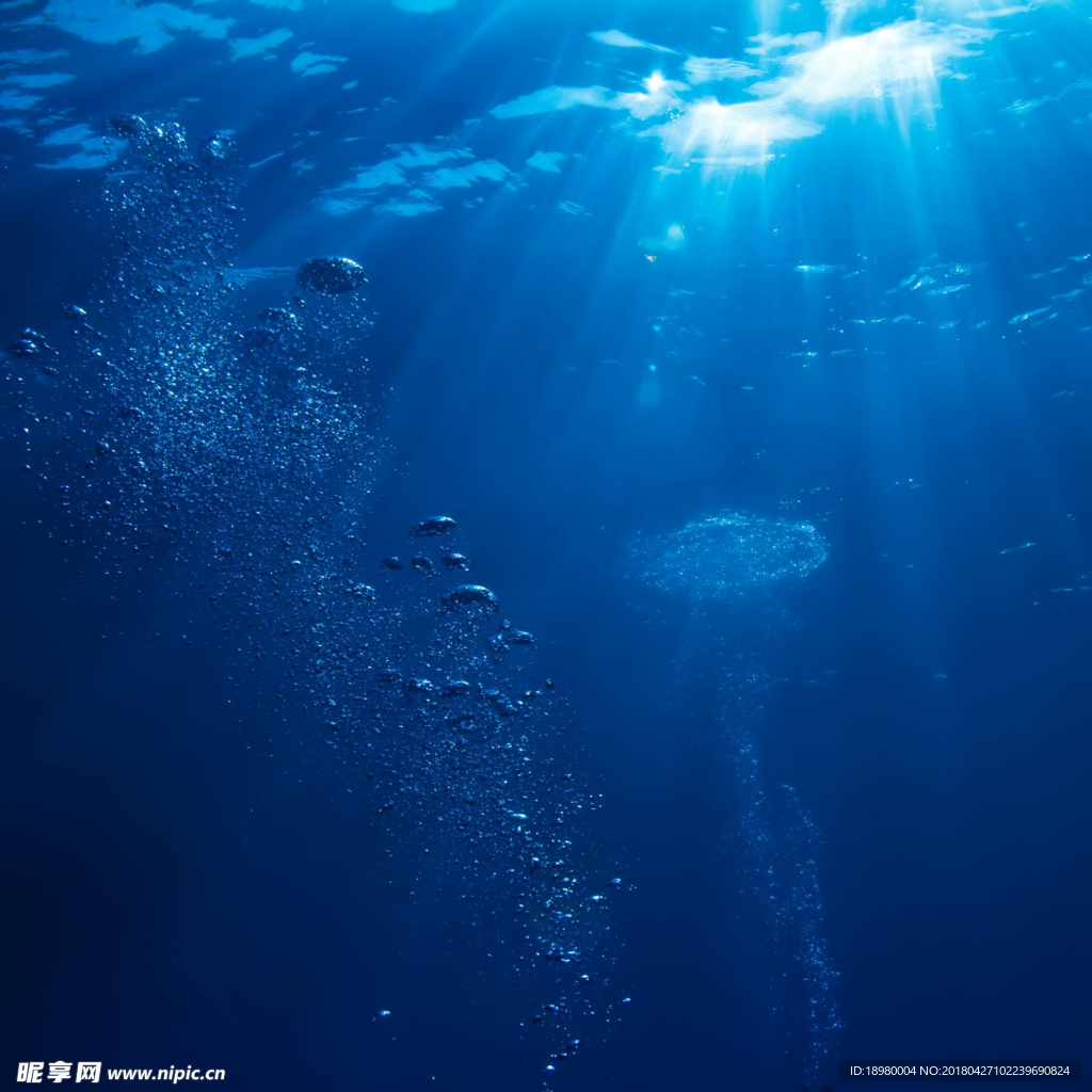 蓝色大海的阳光