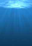 深海阳光