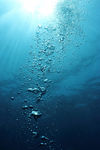 深海阳光