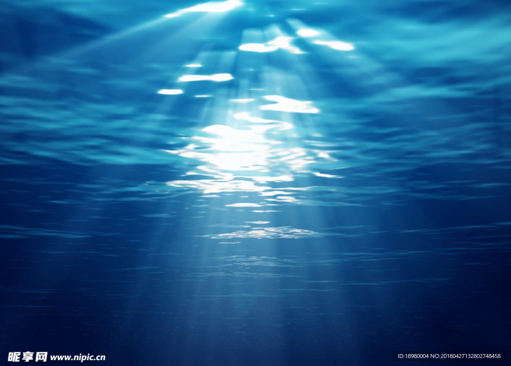 深海的阳光