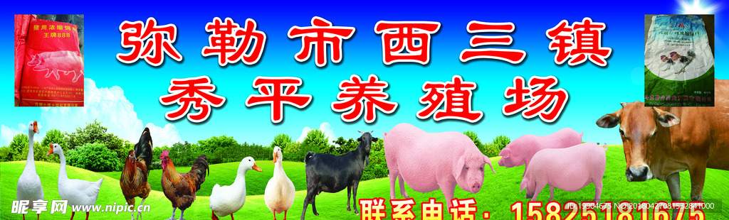 养殖场