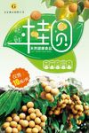 桂圆
