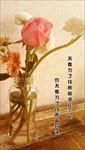 手机壁纸