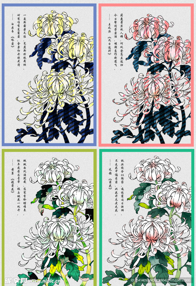 菊花