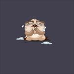 猫头鹰图片